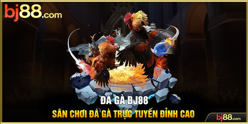 Đá gà BJ88 - Sân chơi đá gà trực tuyến đỉnh cao