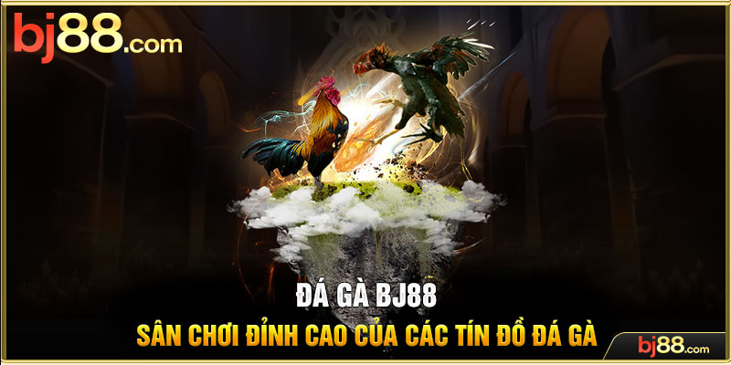 Đá Gà BJ88 Sân Chơi Đỉnh Cao Của Các Tín Đồ Đá Gà