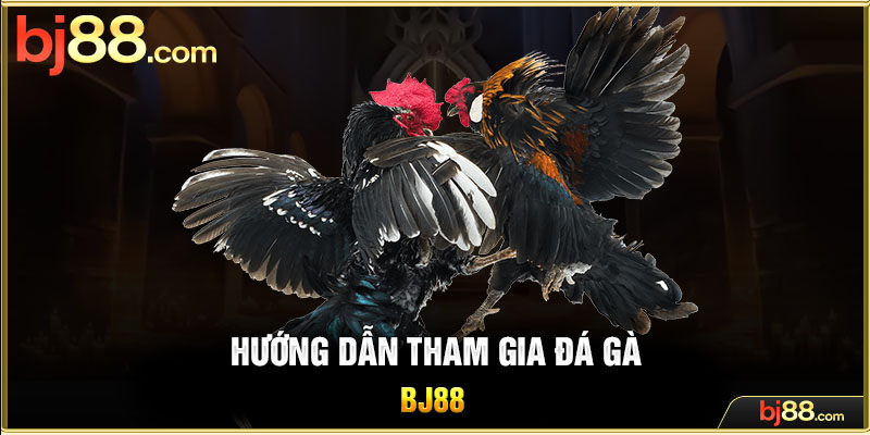 Hướng dẫn tham gia đá gà BJ88