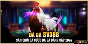 Đá Gà SV388 - Sân Chơi Cá Cược Đá Gà Đẳng Cấp 2024
