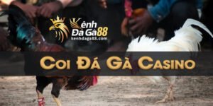 Coi Đá Gà Casino