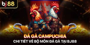 Đá Gà Campuchia - Chi Tiết Về Bộ Môn Đá Gà Tại Bj88