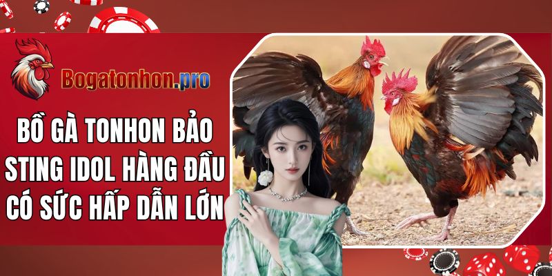 Bồ Gà Tonhon Bảo Sting